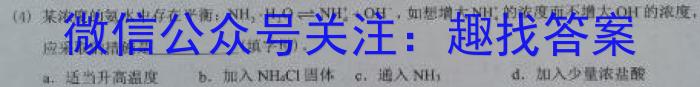 3九师联盟2024届高三12月质量检测（X）化学试题