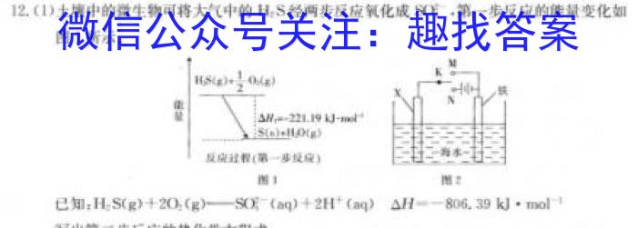 j浙江强基联盟2023学年第一学期高三12月联考化学试卷答案