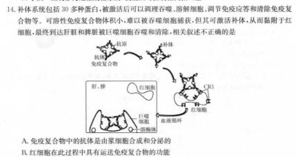 浙江强基联盟2023学年第一学期高一12月联考(24-183A)生物学部分