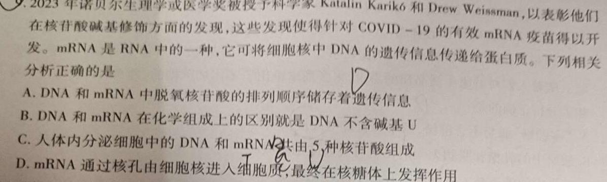 2023~2024学年度高二高中同步月考测试卷 新教材(四)生物