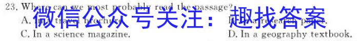 安徽省2024届第一学期九年级12月阶段练习英语试题答案