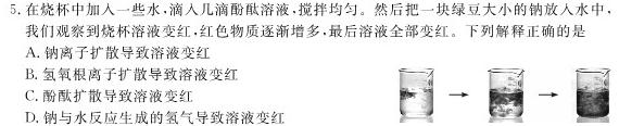 1安徽省2023-2024学年度第一学期九年级学科素养练习（二）化学试卷答案