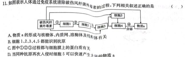 山西省运城市实验中学2023-2024学年第一学期七年级第二阶段性测试生物学部分