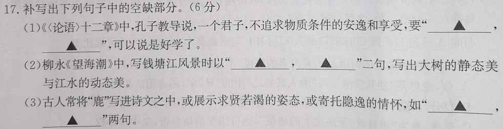 [今日更新]九师联盟 2023~2024学年高三核心模拟卷(中)(六)6语文试卷答案