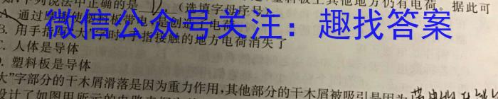 文博志鸿·河南省2023-2024学年九年级第一学期学情分析二f物理