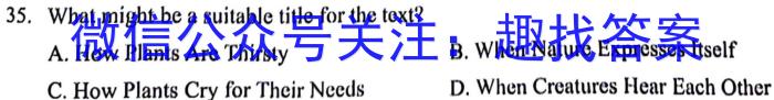 九师联盟2024届高三12月质量检测（X）英语