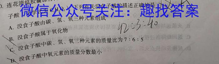 q安徽省2024届第一学期九年级12月阶段练习化学