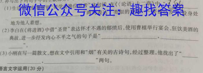 山西省2023-2024学年高二第一学期高中新课程模块期末考试试题(卷)(四)4/语文