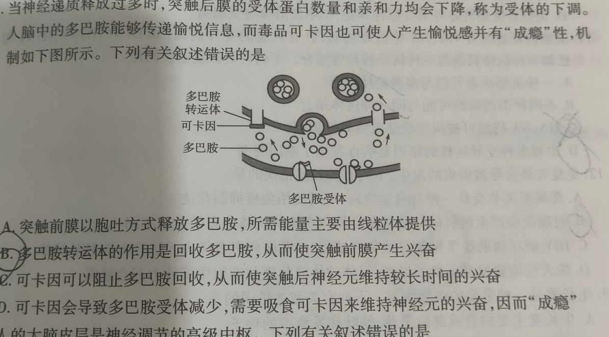 老教材老高考五省联考2023-2024学年高三(三联)生物学部分