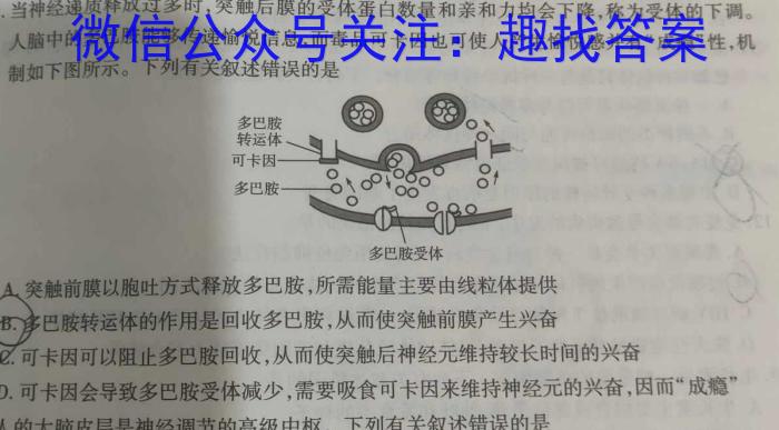 名校计划 2024年河北省中考适应性模拟检测(猜押二)生物学试题答案