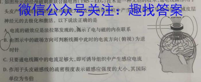 黑龙江省齐齐哈尔市桃李中学2023-2024学年高一下学期期末考试物理试题答案