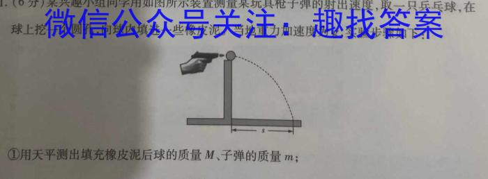 九师联盟 2023~2024学年高三核心模拟卷(下)(五)5物理试卷答案