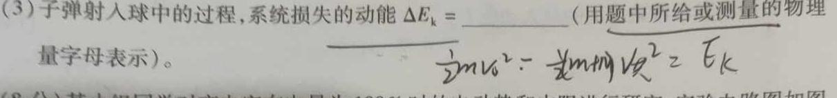 [今日更新]三重教育2023-2024学年第一学期高三年级联考(12月).物理试卷答案