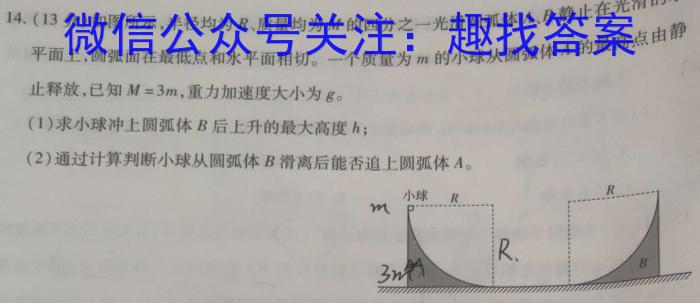 2024年普通高等学校招生伯乐马模拟考试(三)3物理试题答案