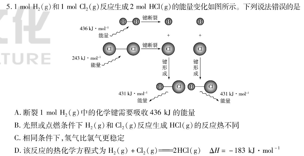 1内蒙古2024届高三第二次统一考试(2023.12)化学试卷答案