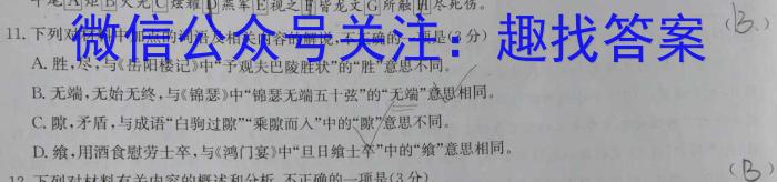 安徽省2024年九年级教学检测考试/语文