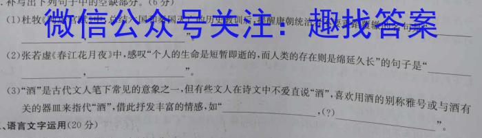 皖智教育 安徽第一卷·2024年安徽中考第一轮复习试卷(一)1语文