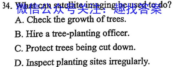 湖南省2024届高三统一考试1月联考(双菱形)英语试卷答案