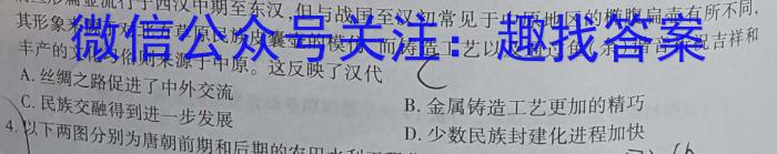 河南省2024届九年级阶段评估(二) 3L R历史试卷答案