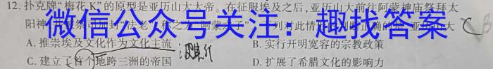 河北省2024-2025学年度高三年级上学期自我提升三&政治