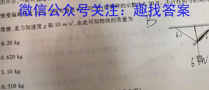 ʡ2023-2024ѧһ꼶׶ԲԣxԾ