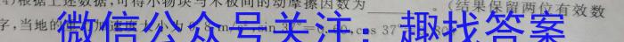 神州智达 2023-2024高一省级联测考试·下学期期中考试物理试卷答案