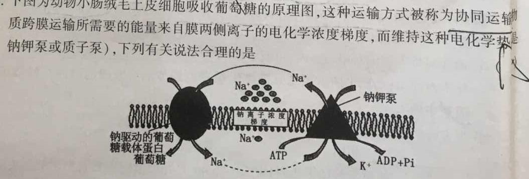 河北省思博教育2023-2024学年七年级第一学期第四次学情评估（期末）生物学部分