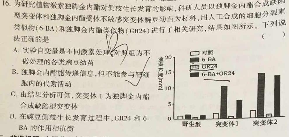 吉林市2023-2024高三第四次模拟考试生物