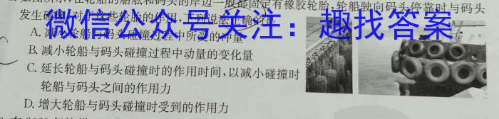 河南省周口市淮阳区2023-2024学年第二学期八年级期末学情调研试卷物理试题答案