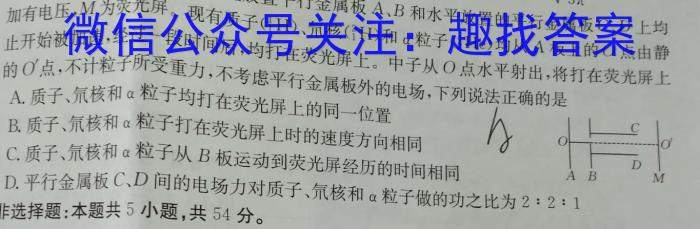 2024年普通高校招生考试冲刺压轴卷(二)物理`