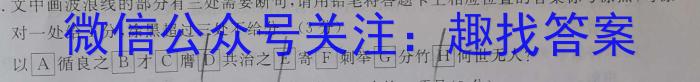ʡ2023-2024ѧȾ꼶Уϰ()4xԾ
