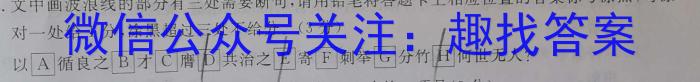 华大新高考联盟2024届高三4月教学质量测评语文