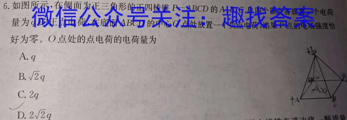 2024年普通高等学校招生全国统一考试仿真模拟卷(T8联盟)(八)物理试卷答案