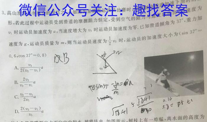 河南省2023-2024学年七年级上学期期末学情调研物理`