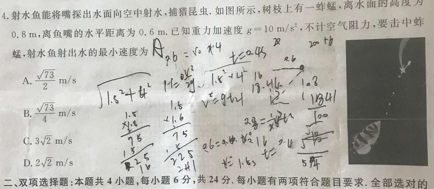 [今日更新]九师联盟 2024届高三2月开学考(湖北)试题.物理试卷答案