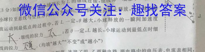 河南省2024年平顶山市中招学科第一次调研试卷物理试卷答案