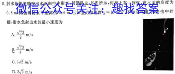 浙江省高考科目考试绍兴市适应性试卷（2024年4月）物理`