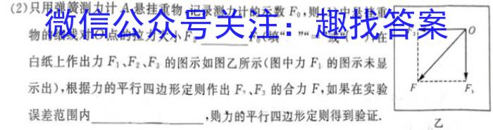 河南省洛阳市偃师区2023-2024学年七年级第一学期期末质量检测试卷物理