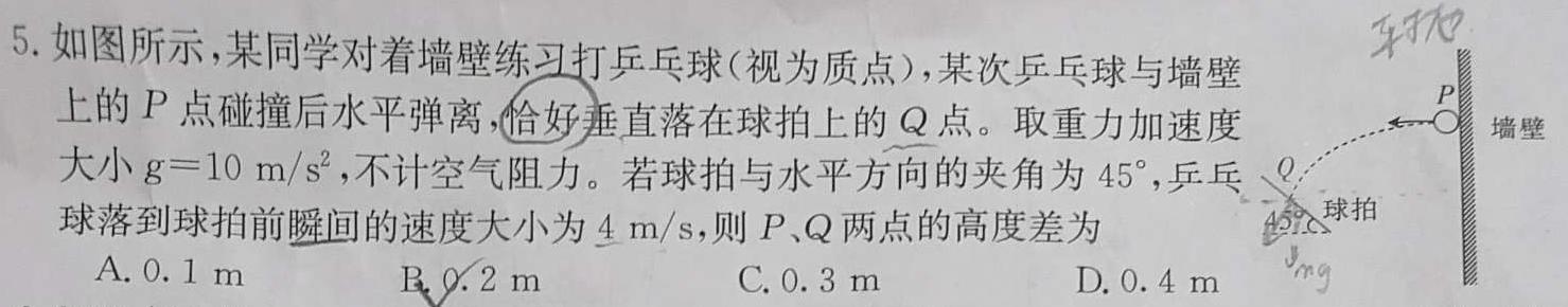 山东省枣庄2023-2024学年第一学期高三质量检测(2024.01)物理试题.