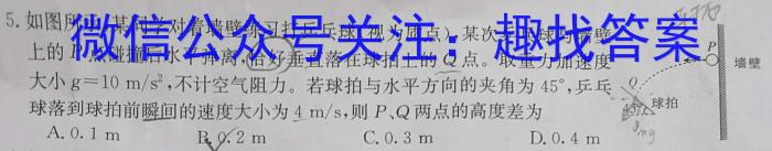 中学生标准学术能力诊断性测试2024年3月测试(新高考)物理试卷答案