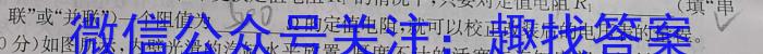 2024届黑龙江齐齐哈尔市高三模拟2月联考l物理