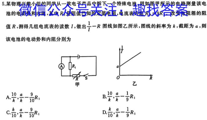 2024年河北省初中毕业生升学文化课考试模拟试卷（十）物理试题答案