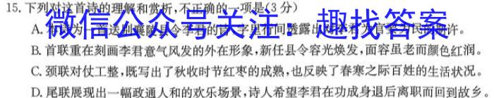 陕西师大附中2023-2024学年度初三年级第九次适应性训练(6月)语文