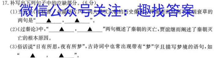 安徽省2023-2024学年度第一学期九年级期末质量检测试卷语文