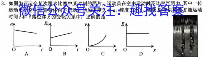 炎德英才大联考2024年普通高等学校招生全国统一考试考前演练三物理`