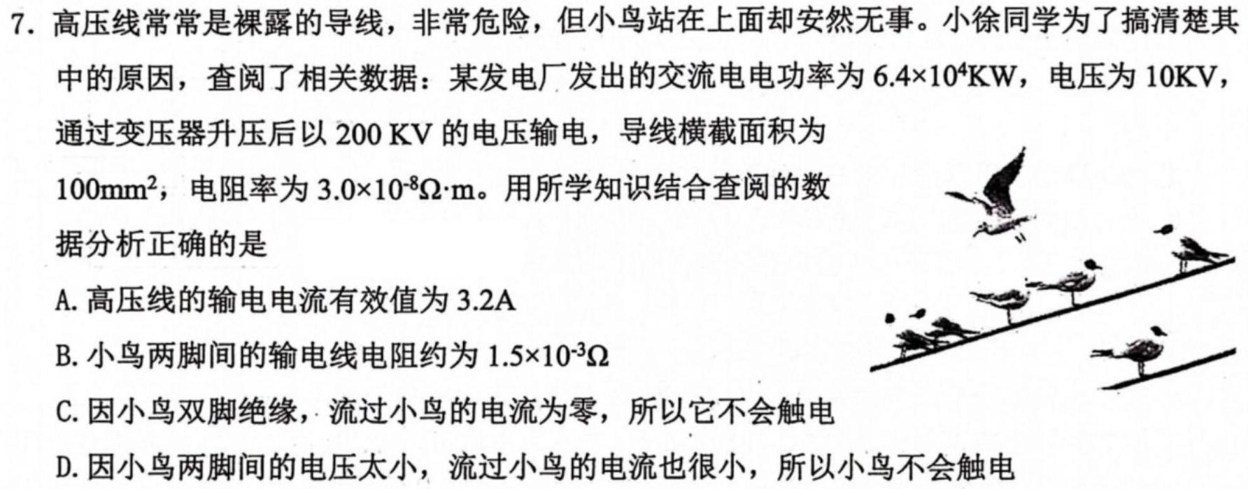 广西2024年春季学期高一期末教学质量监测(物理)试卷答案