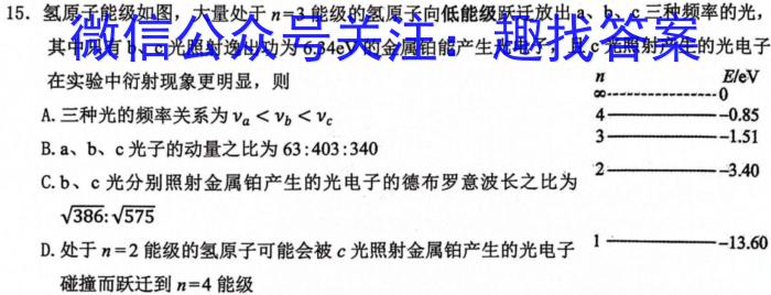 湖南省2024届高三2月入学统一考试试题物理试卷答案