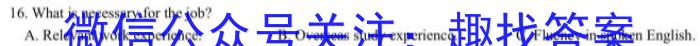 陕西省2024年中考总复习专题训练 SX(二)英语试卷答案