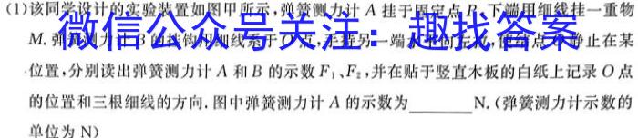 安徽省合肥市庐江县2024届九年级中考模拟4月联考物理试卷答案