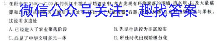 山东名校考试联盟2023年12月高一年级阶段性检测历史试卷答案